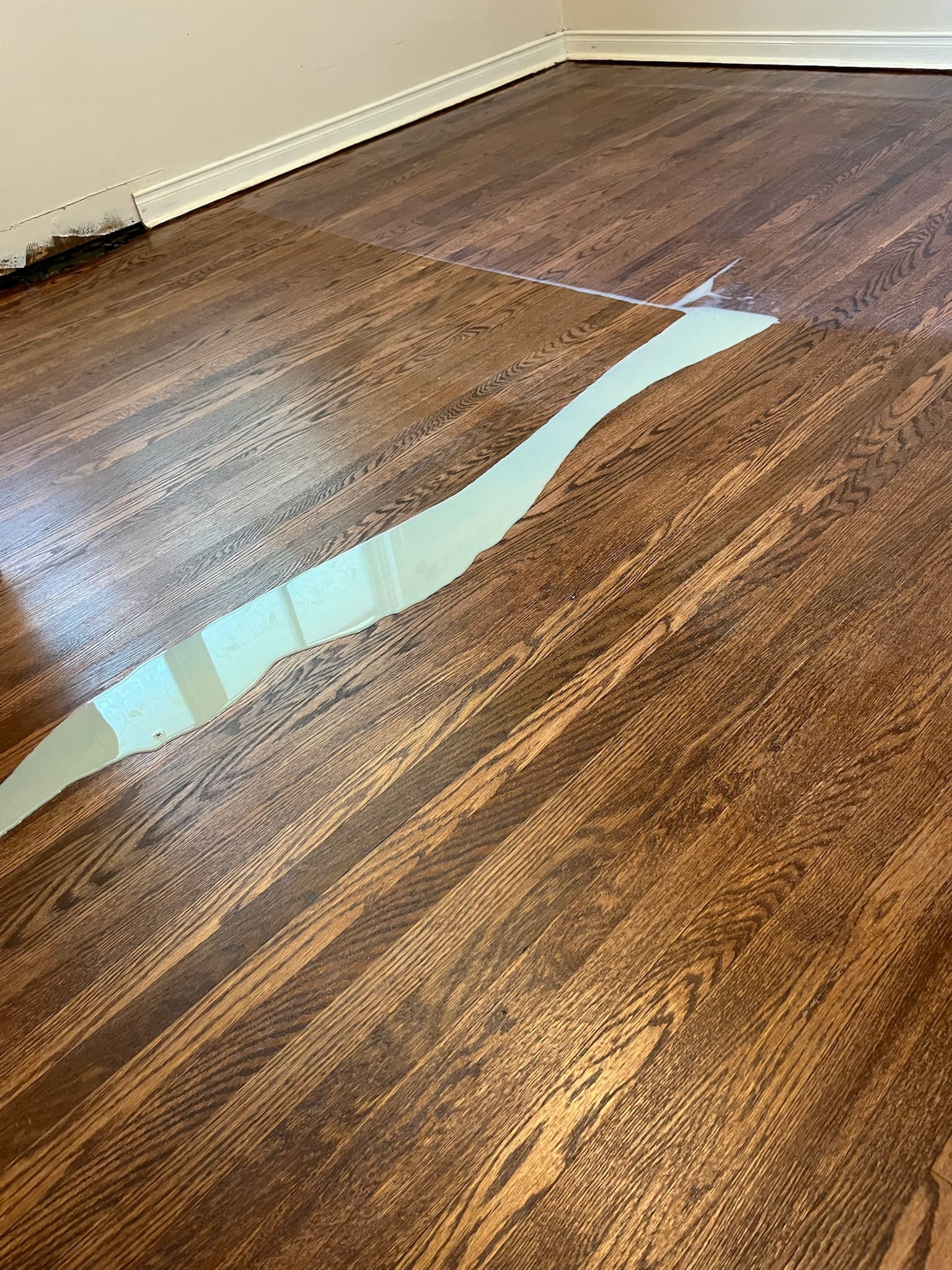 Application du vernis sur un plancher de bois franc